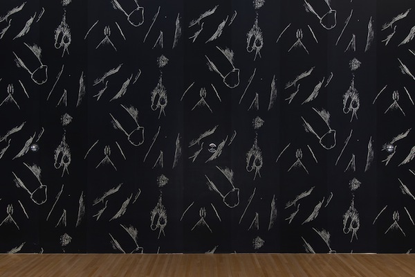 gober genetalia wallpaper