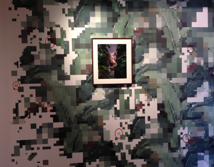 minaya-wallpaper-with-circles